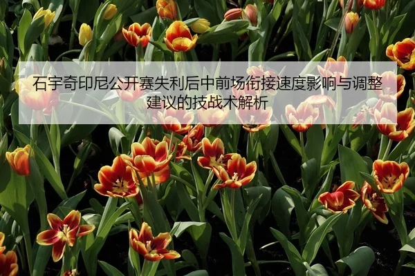 石宇奇印尼公开赛失利后中前场衔接速度影响与调整建议的技战术解析（jiuyouhui）
