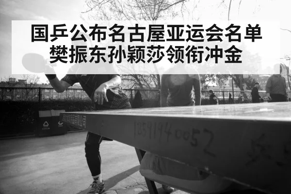 Fan Zhendong table tennis
