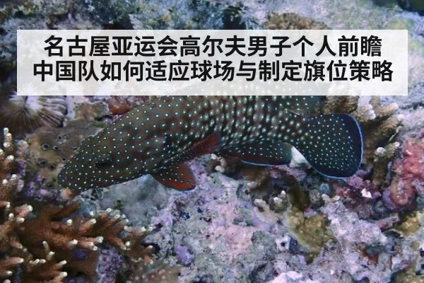 名古屋亚运会高尔夫男子个人前瞻 中国队如何适应球场与制定旗位策略