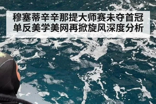 穆塞蒂辛辛那提大师赛未夺首冠 单反美学美网再掀旋风深度分析